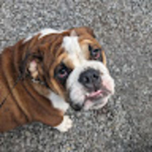 Meet your Posher, Jack